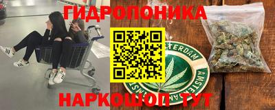 спиды Славгород